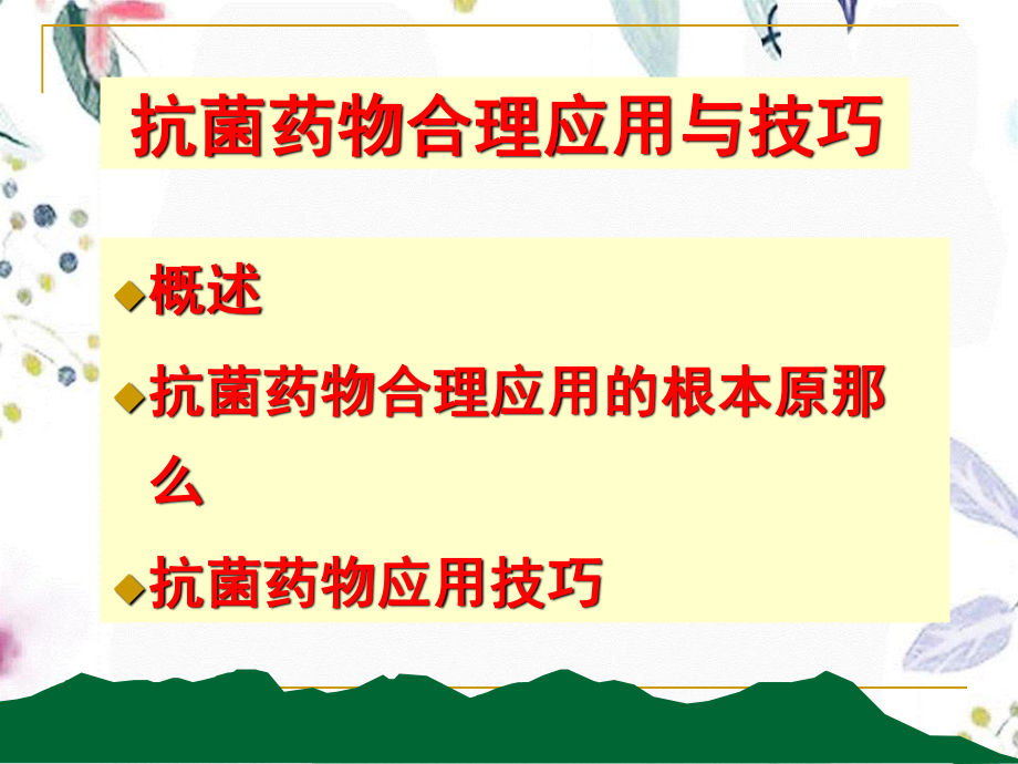 2023年业务学习抗菌药物合理应用与技巧（教学课件）.ppt_第2页