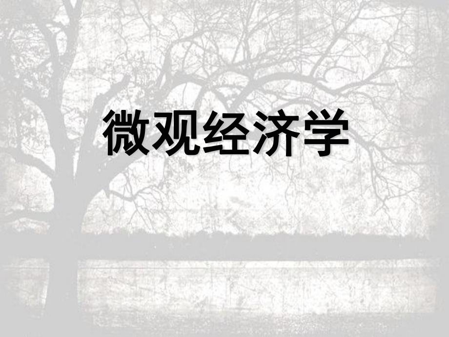 2023年微观经济学第三（教学课件）.ppt_第1页