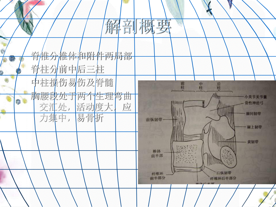 2023年脊柱脊髓损伤（教学课件）.ppt_第2页