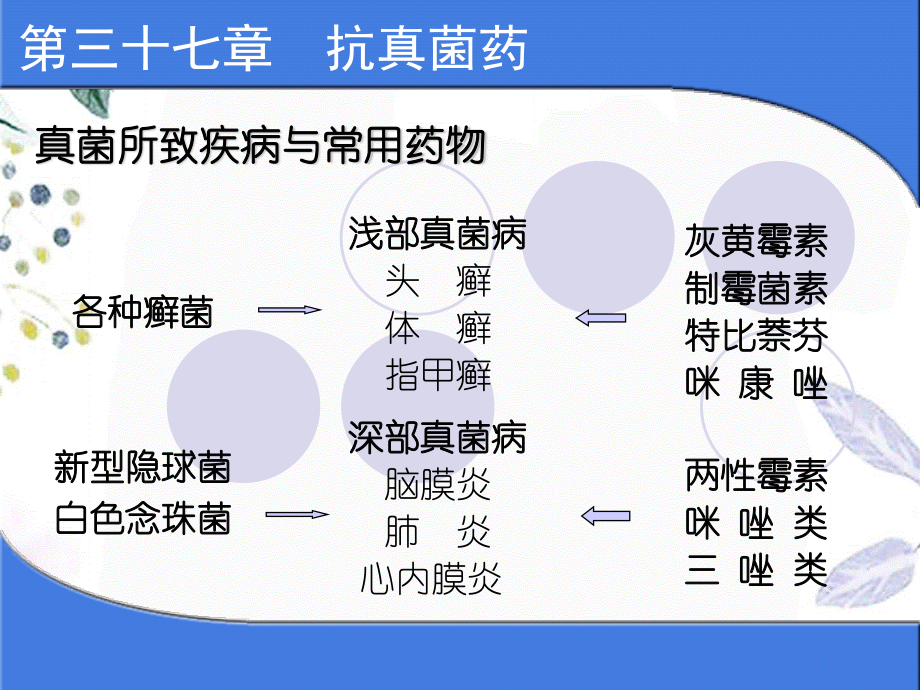 2023年抗真菌药1（教学课件）.ppt_第3页