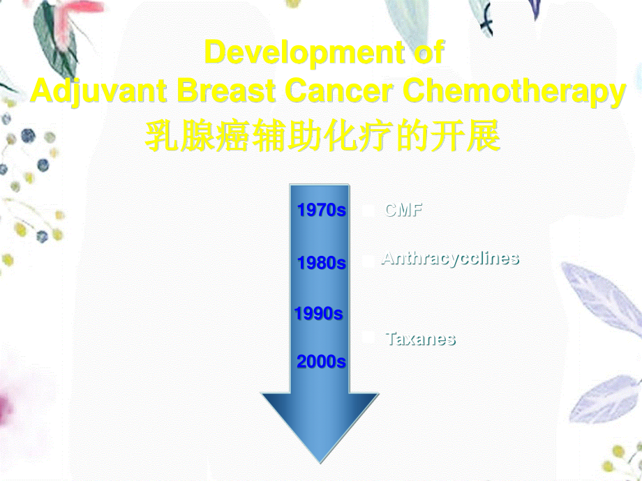 2023年张建国早期乳腺癌辅助化疗中文（教学课件）.ppt_第2页