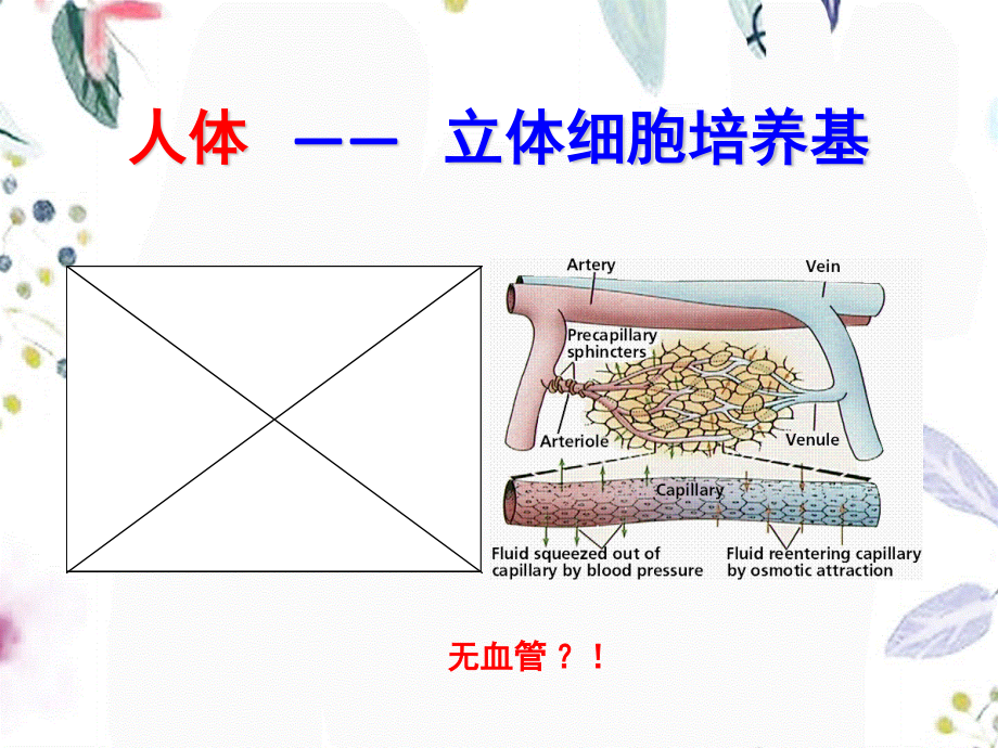 2023年呼吸（教学课件）.ppt_第2页