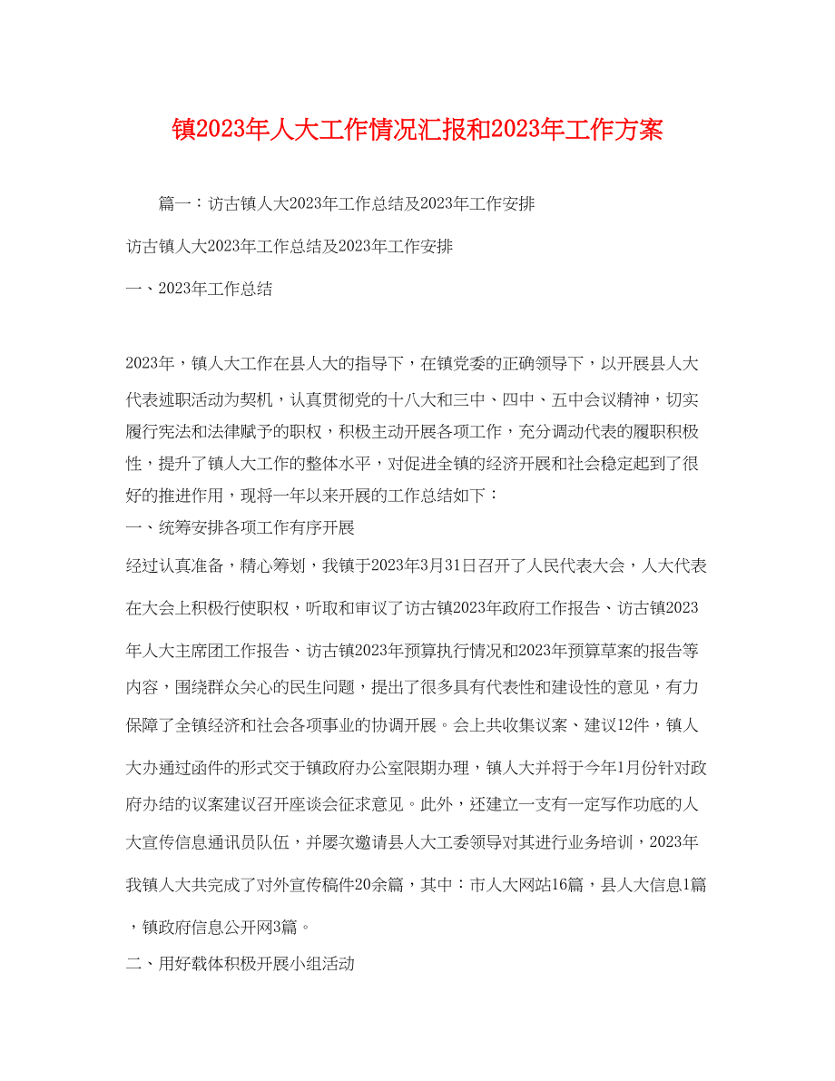 2023年镇人大工作情况汇报和工作计划范文.docx_第1页