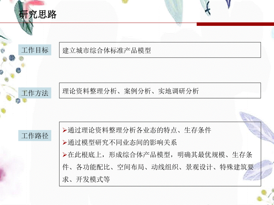 2023年新城综合体研究PPT（教学课件）.ppt_第2页