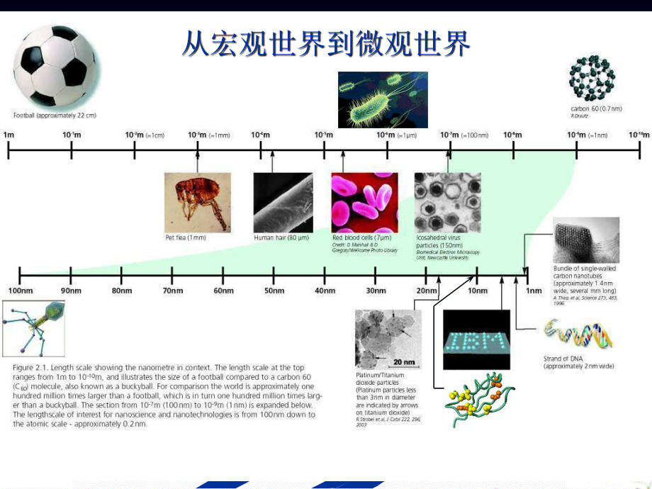 2023年物理高新技术——生物科学中的物理学——纳米技术在分子生物学中的应用（教学课件）.ppt_第3页