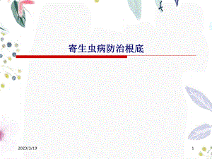 2023年寄生虫病防治基础（教学课件）.ppt