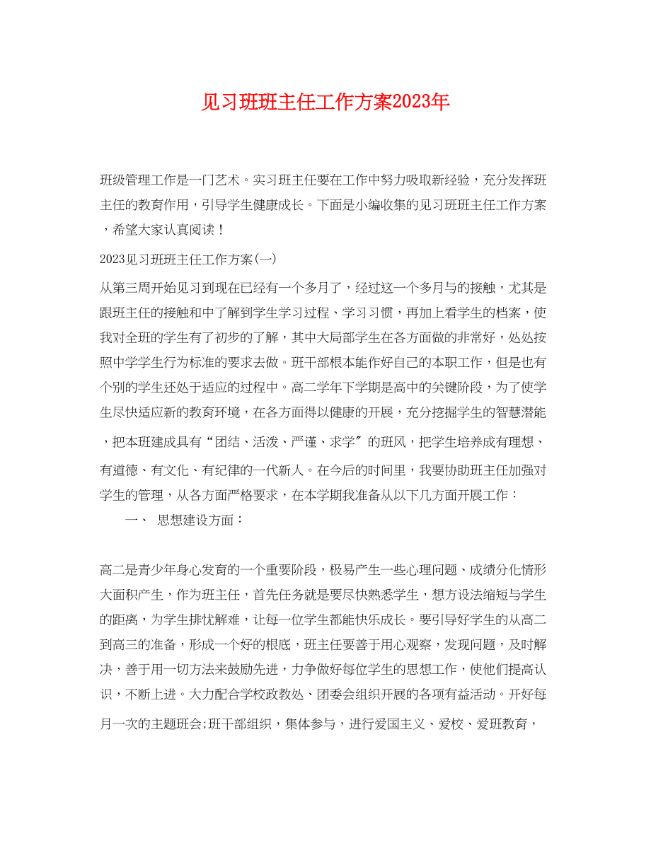 2023年见习班班主任工作计划2范文.docx_第1页