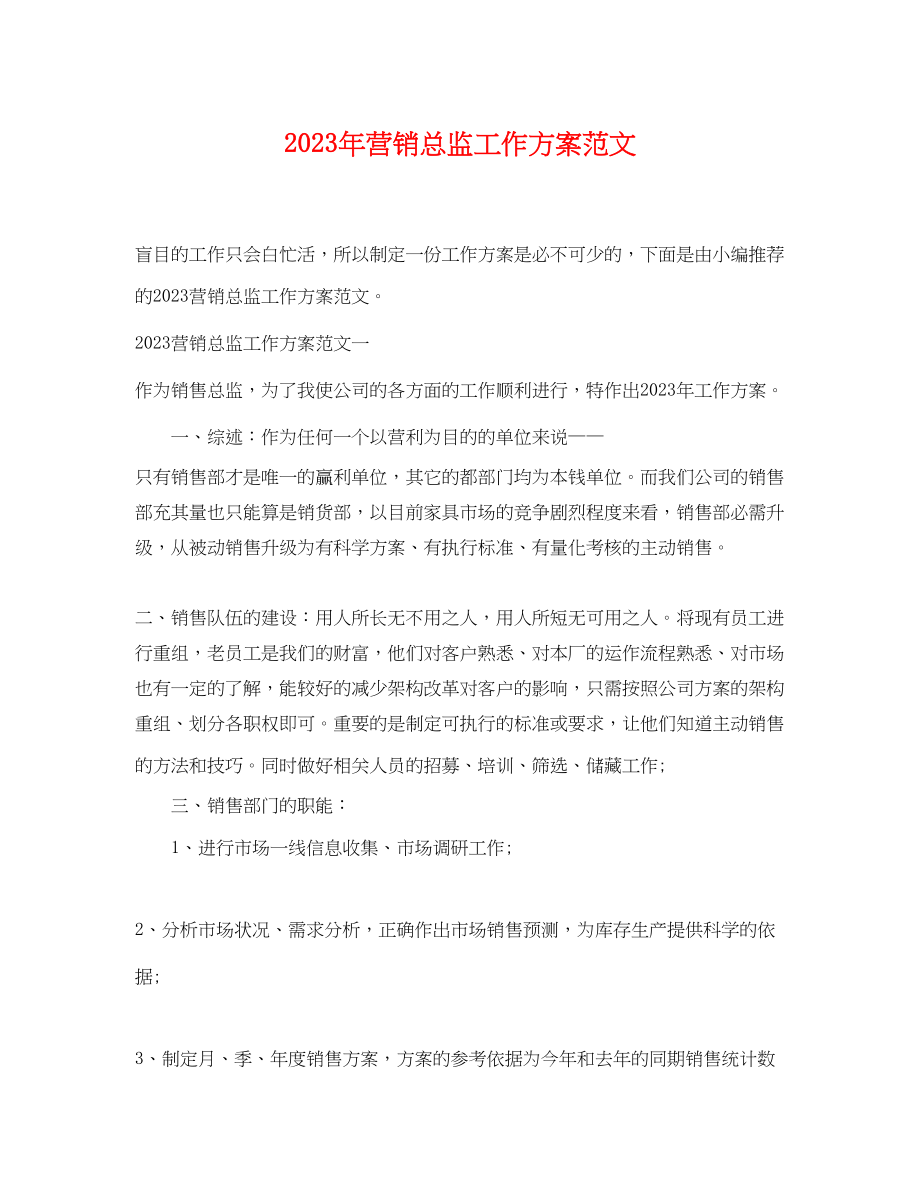 2023年营销总监工作计划3范文.docx_第1页