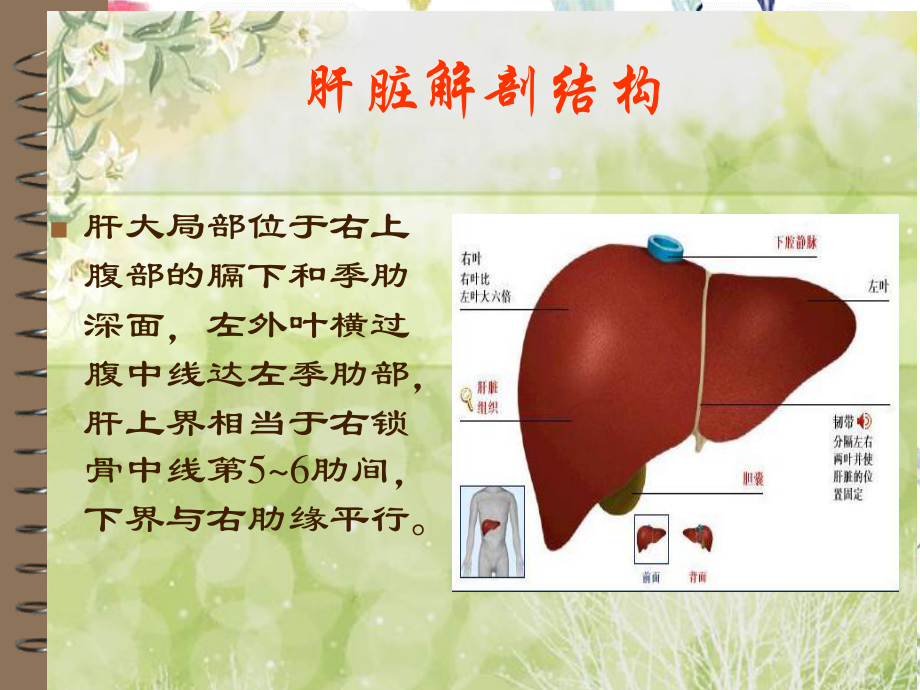 2023年肝癌患者的护理（教学课件）.ppt_第3页