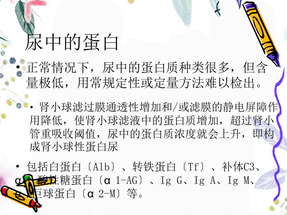 2023年微量白蛋白尿检测的临床意义海浪白云（教学课件）.ppt_第3页