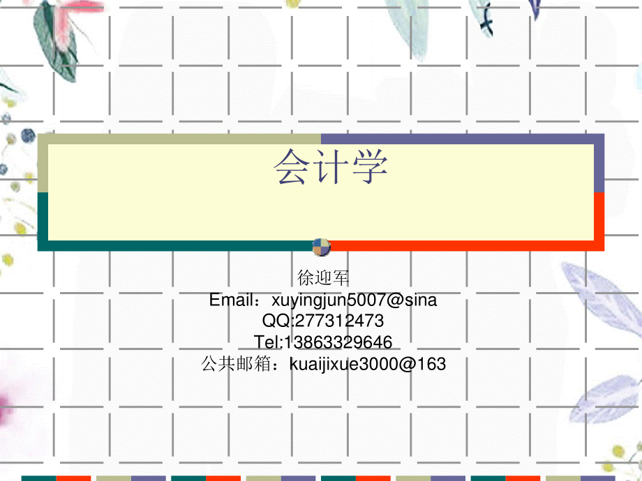 2023年会计一个以提供财务信息为主的经济信息系统（教学课件）.ppt_第2页