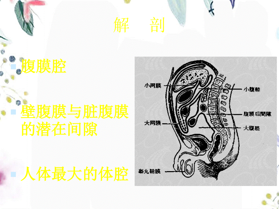 2023年腹膜炎（教学课件）.ppt_第3页