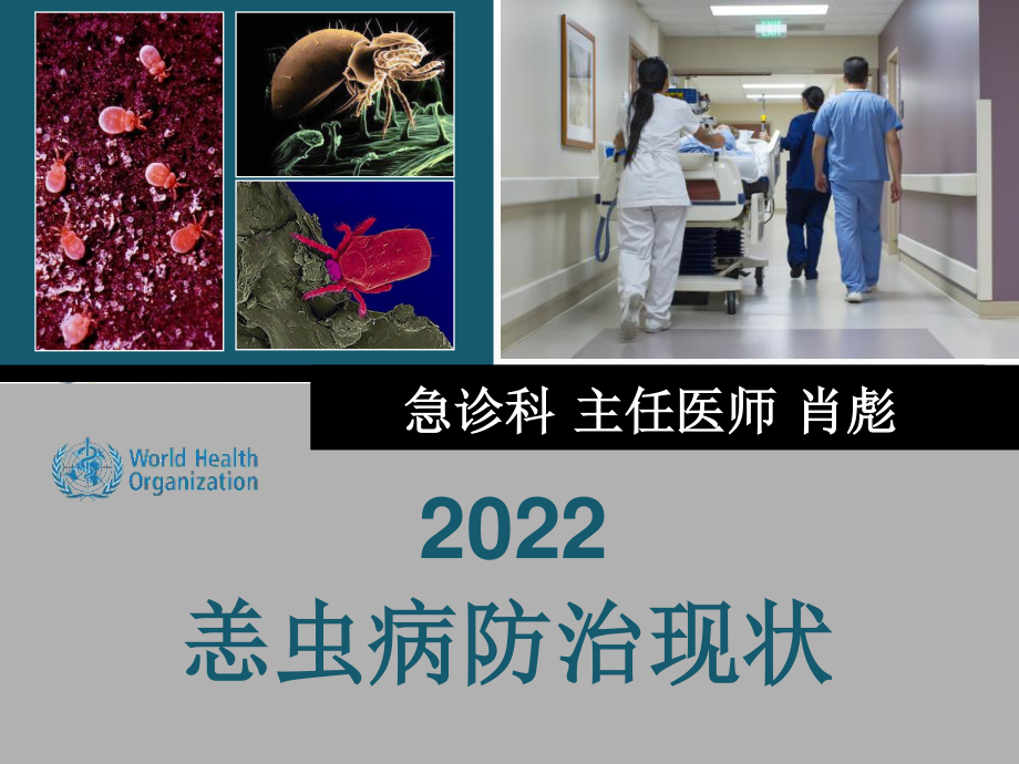 2023年恙虫病防治现状（教学课件）.ppt_第1页