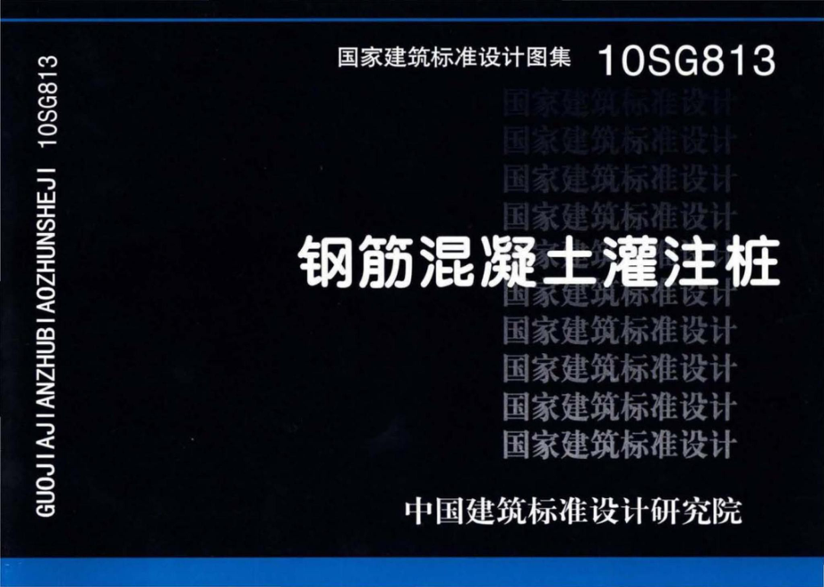 10SG813：钢筋混凝土灌注桩.pdf_第1页