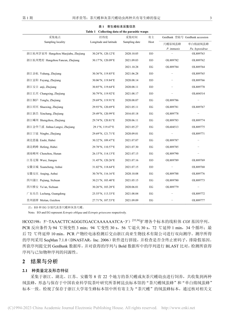 茶尺蠖和灰茶尺蠖幼虫两种共有寄生蜂的鉴定_周孝贵.pdf_第3页