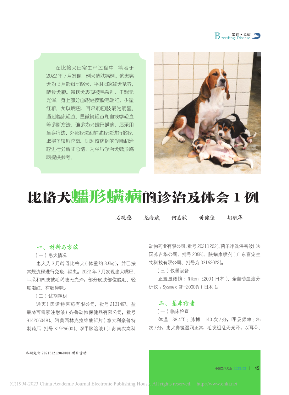 比格犬蠕形螨病的诊治及体会1例_石观稳.pdf_第1页