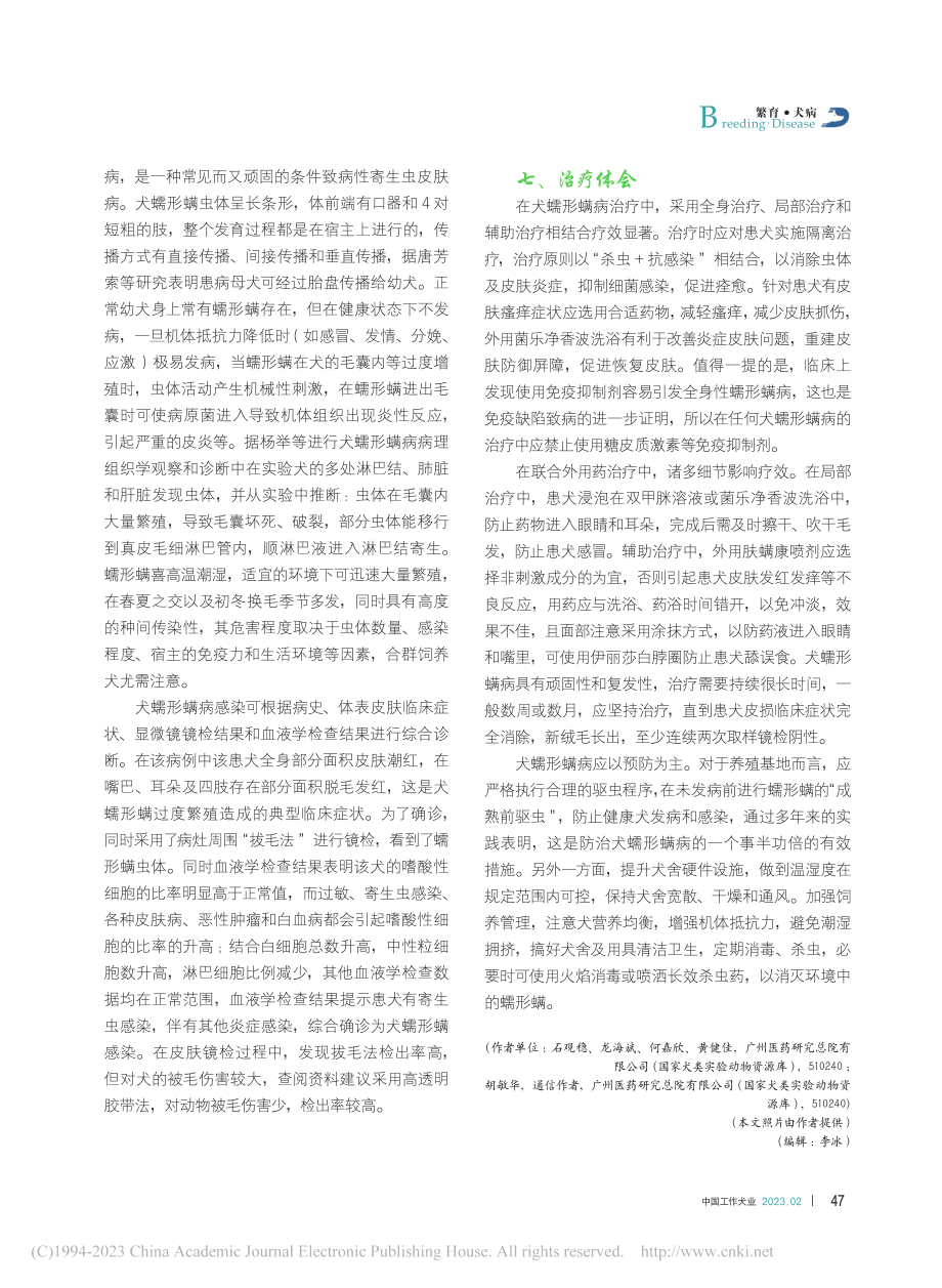 比格犬蠕形螨病的诊治及体会1例_石观稳.pdf_第3页