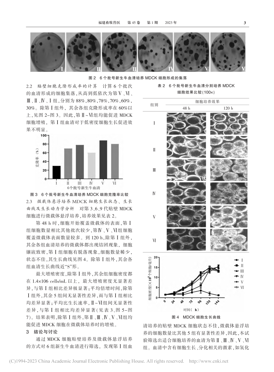 不同批次新生牛血清对MDCK细胞培养效果的研究_康碧静.pdf_第3页