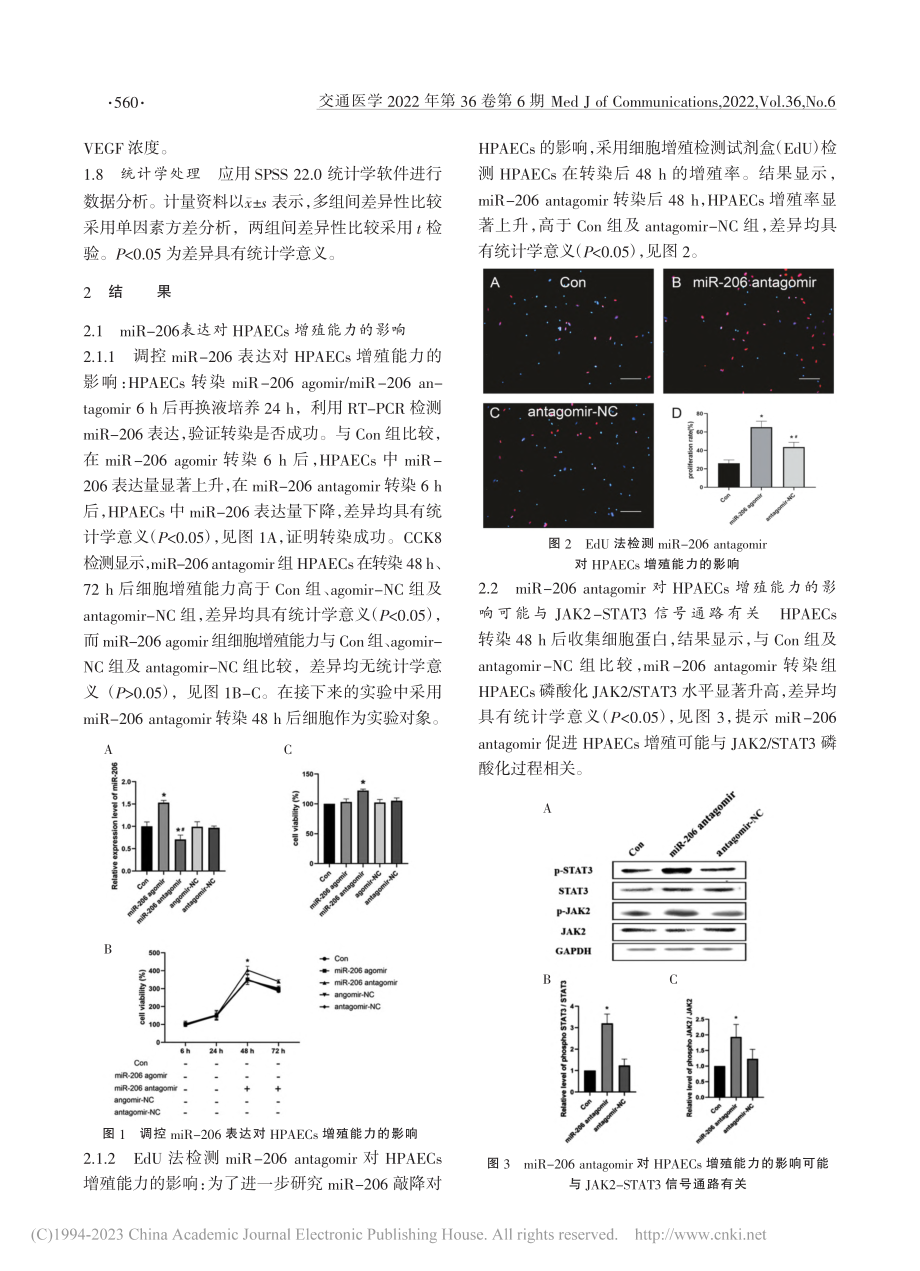 miR-206对肺动脉内皮细胞增殖的影响及机制研究_沈芹.pdf_第3页