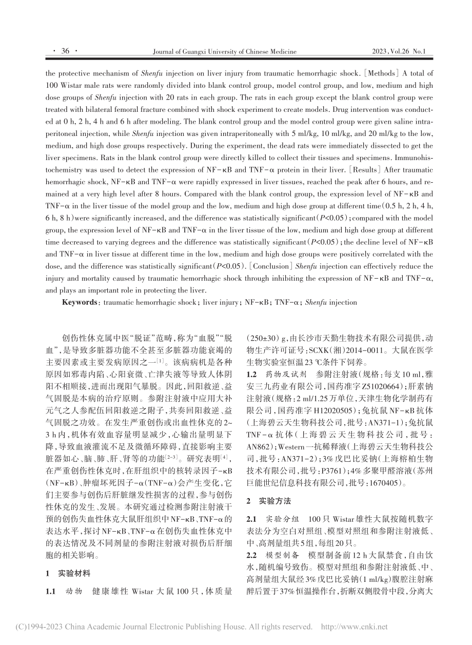 参附注射液对创伤失血性休克...κB、TNF-α表达的影响_胡嗣钦.pdf_第2页