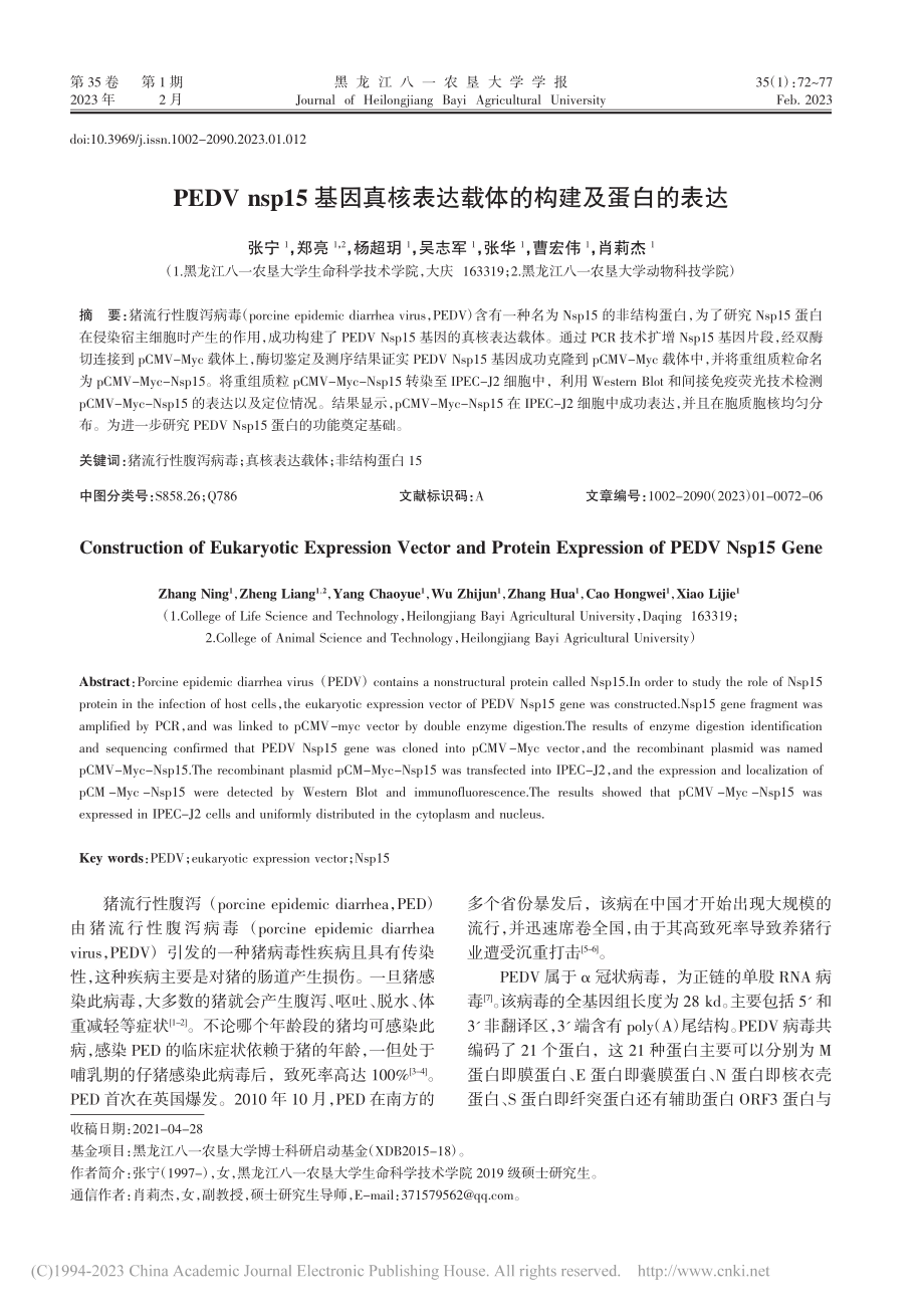 PEDV_nsp15基因真...表达载体的构建及蛋白的表达_张宁.pdf_第1页