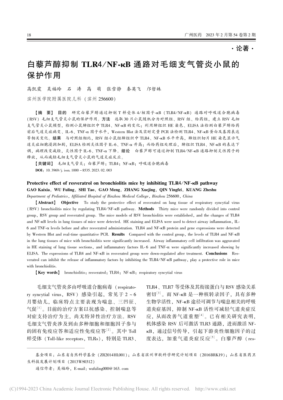 白藜芦醇抑制TLR4_NF...毛细支气管炎小鼠的保护作用_高凯霞.pdf_第1页