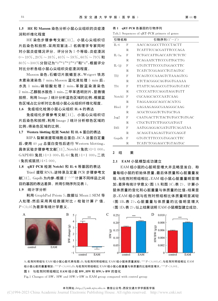 Fasudil在EAM小鼠...H信号通路下调IL-6表达_李彦军.pdf_第3页