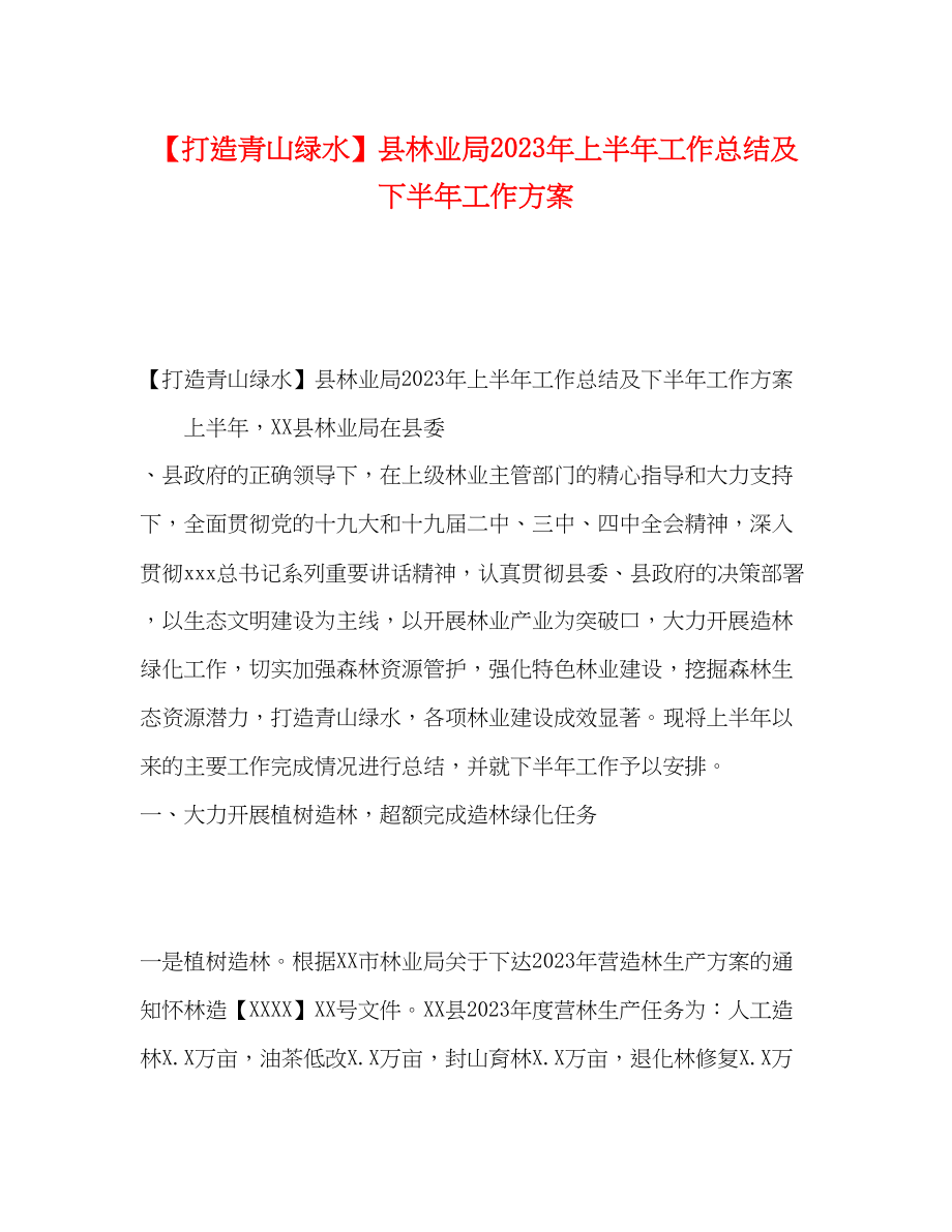 2023年打造青山绿水县林业局上半工作总结及下半工作计划范文.docx_第1页