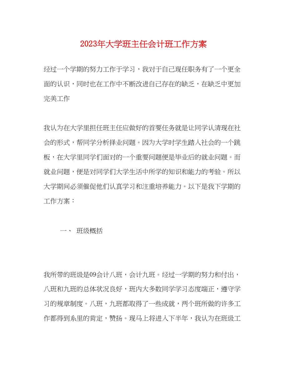 2023年大学班主任会计班工作计划范文.docx_第1页