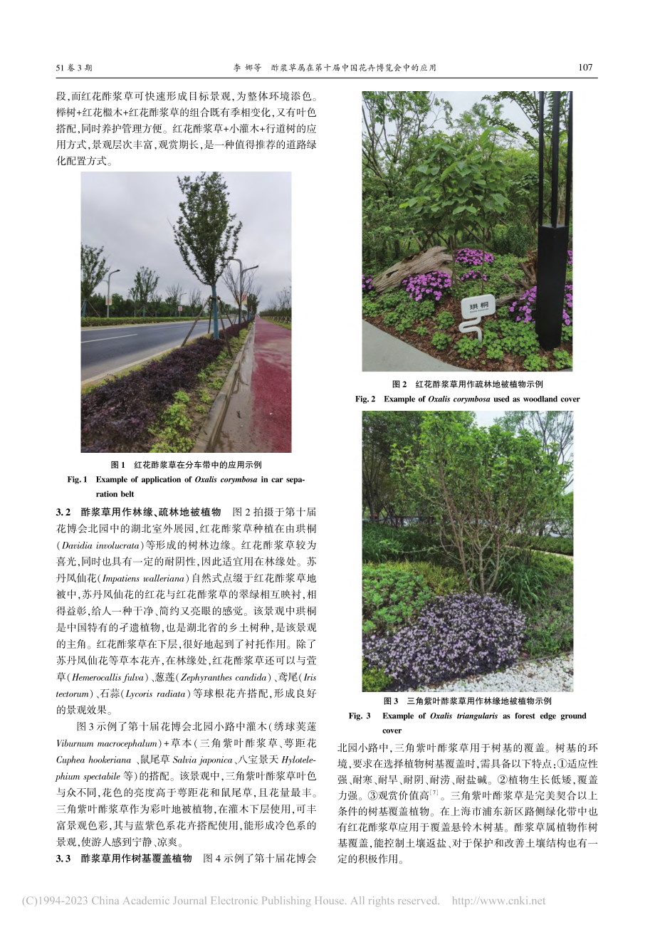 酢浆草属在第十届中国花卉博览会中的应用_李娜.pdf_第2页