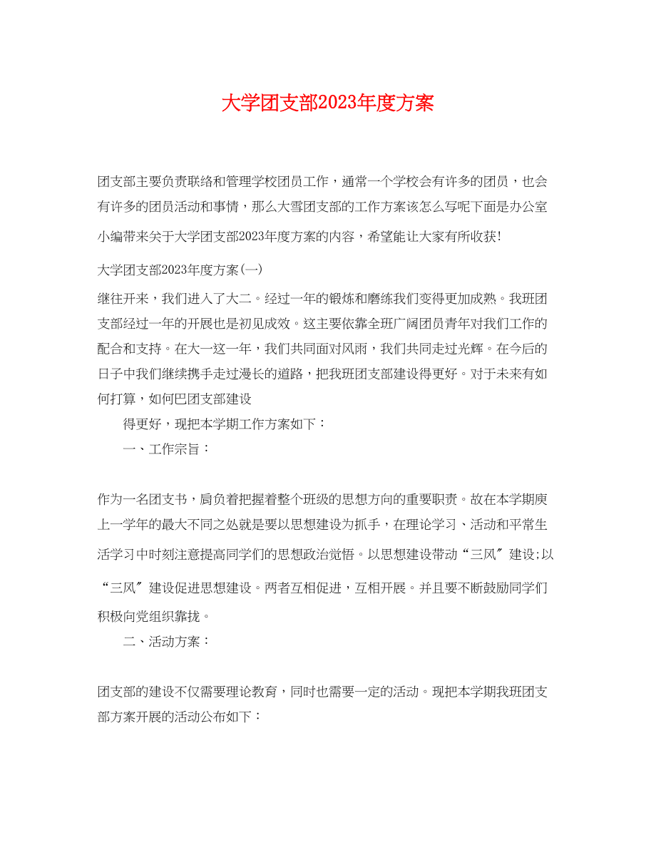 2023年大学团支部度计划范文.docx_第1页