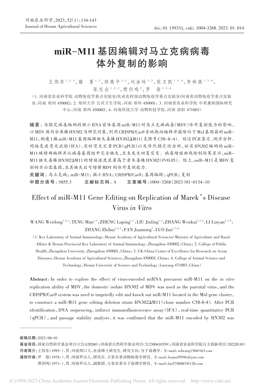 miR-M11基因编辑对马立克病病毒体外复制的影响_王伟东.pdf_第1页