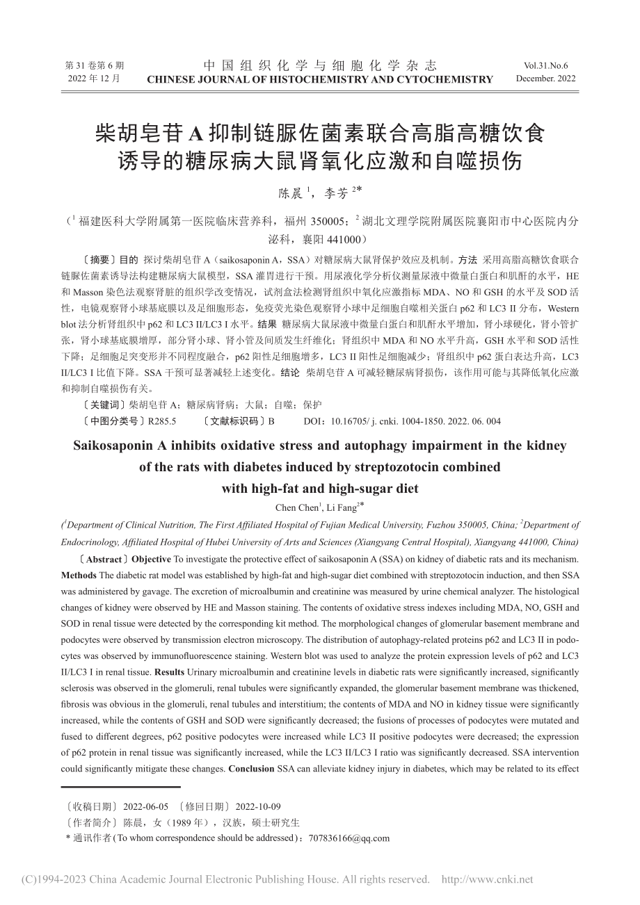 柴胡皂苷A抑制链脲佐菌素联...病大鼠肾氧化应激和自噬损伤_陈晨.pdf_第1页