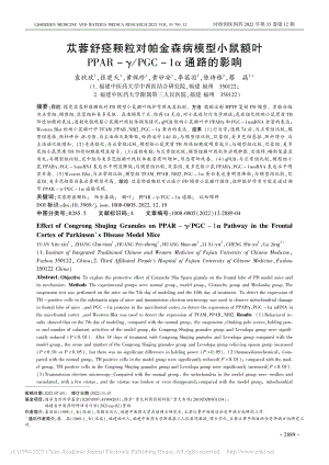 苁蓉舒痉颗粒对帕金森病模型...γ_PGC-1α通路的影响_袁欣欣.pdf