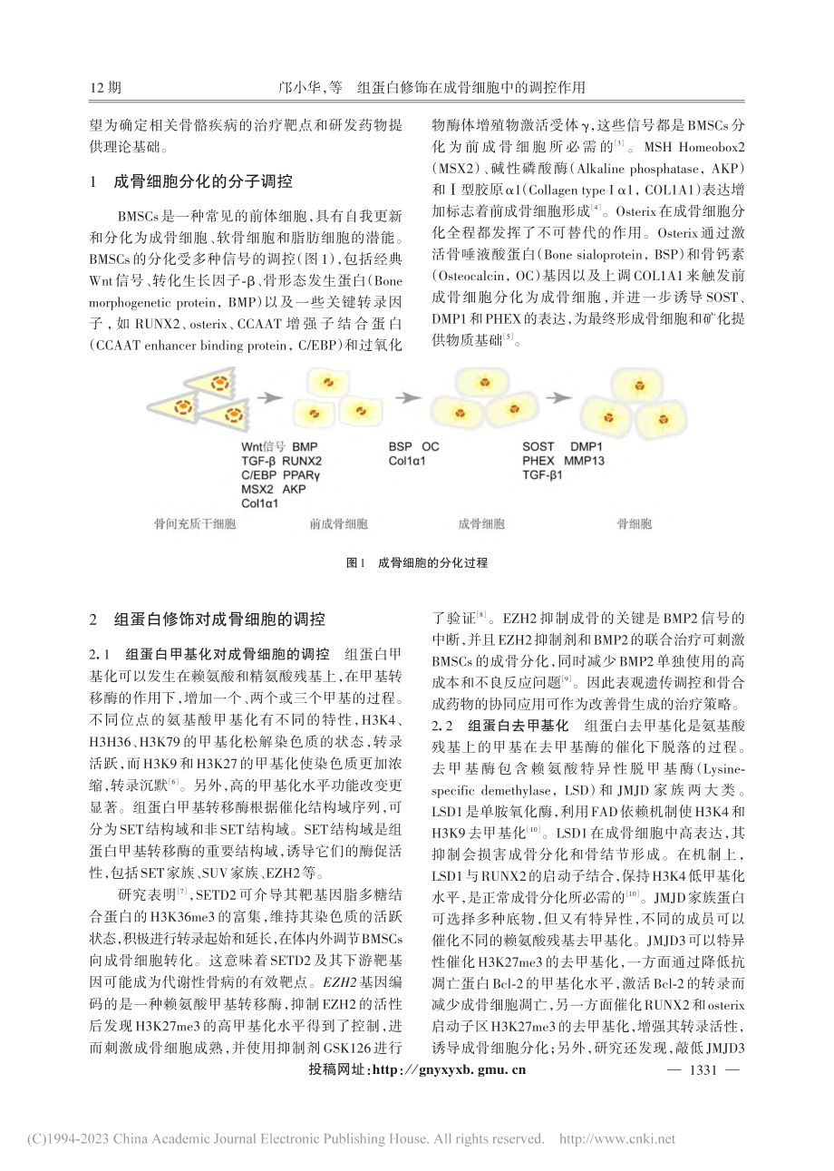 组蛋白修饰在成骨细胞中的调控作用_邝小华.pdf_第2页