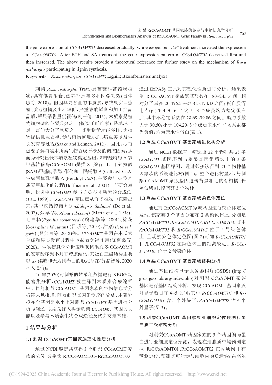 刺梨RrCCoAOMT基因家族的鉴定与生物信息学分析_卢晨.pdf_第2页