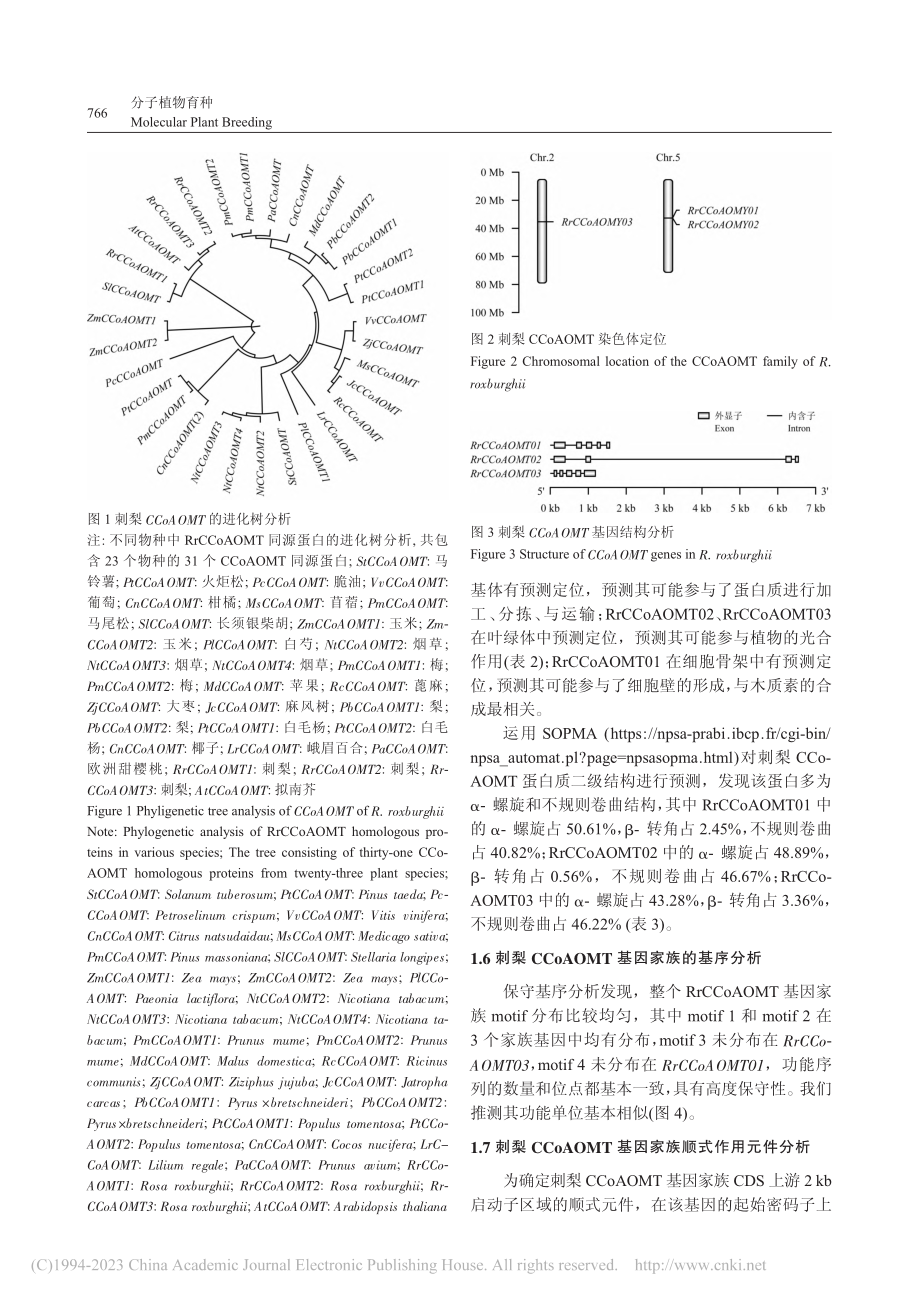 刺梨RrCCoAOMT基因家族的鉴定与生物信息学分析_卢晨.pdf_第3页