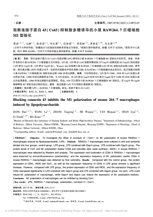 阻断连接子蛋白43(Cx4...64.7巨噬细胞M1型极化_蒋涵.pdf