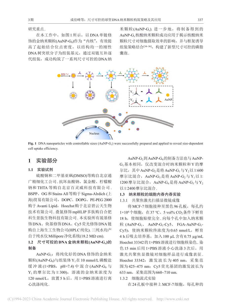 尺寸可控的球型DNA纳米颗粒构筑策略及其应用_成佳峰.pdf_第2页