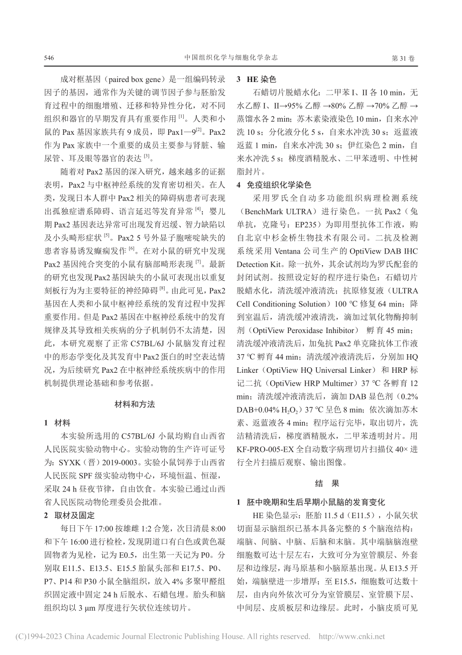 成对框基因2蛋白在C57B...6J小鼠脑发育进程中的表达_丁彩云.pdf_第2页