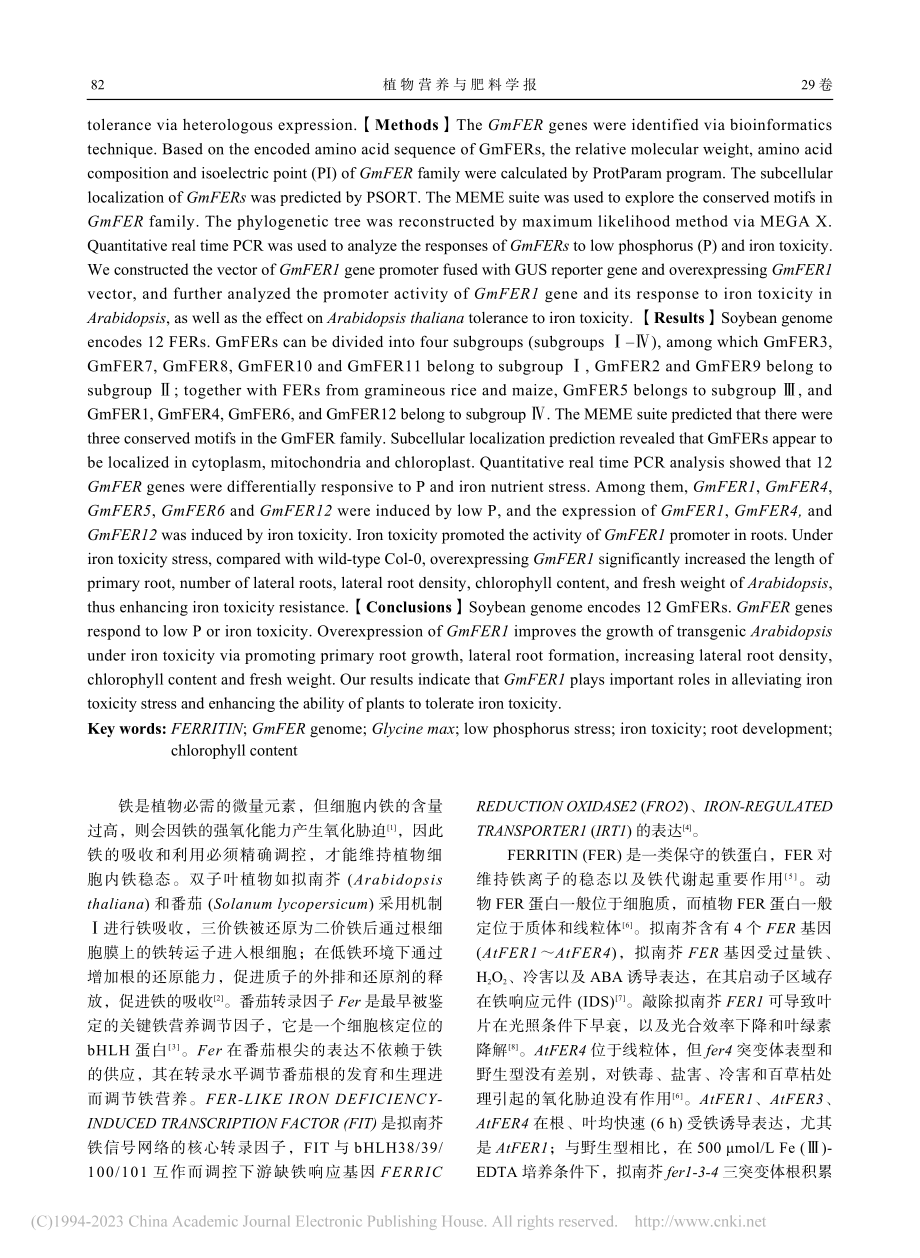 大豆磷铁养分胁迫响应的FE...鉴定及FER1缓解铁毒作用_吴丽霞.pdf_第2页