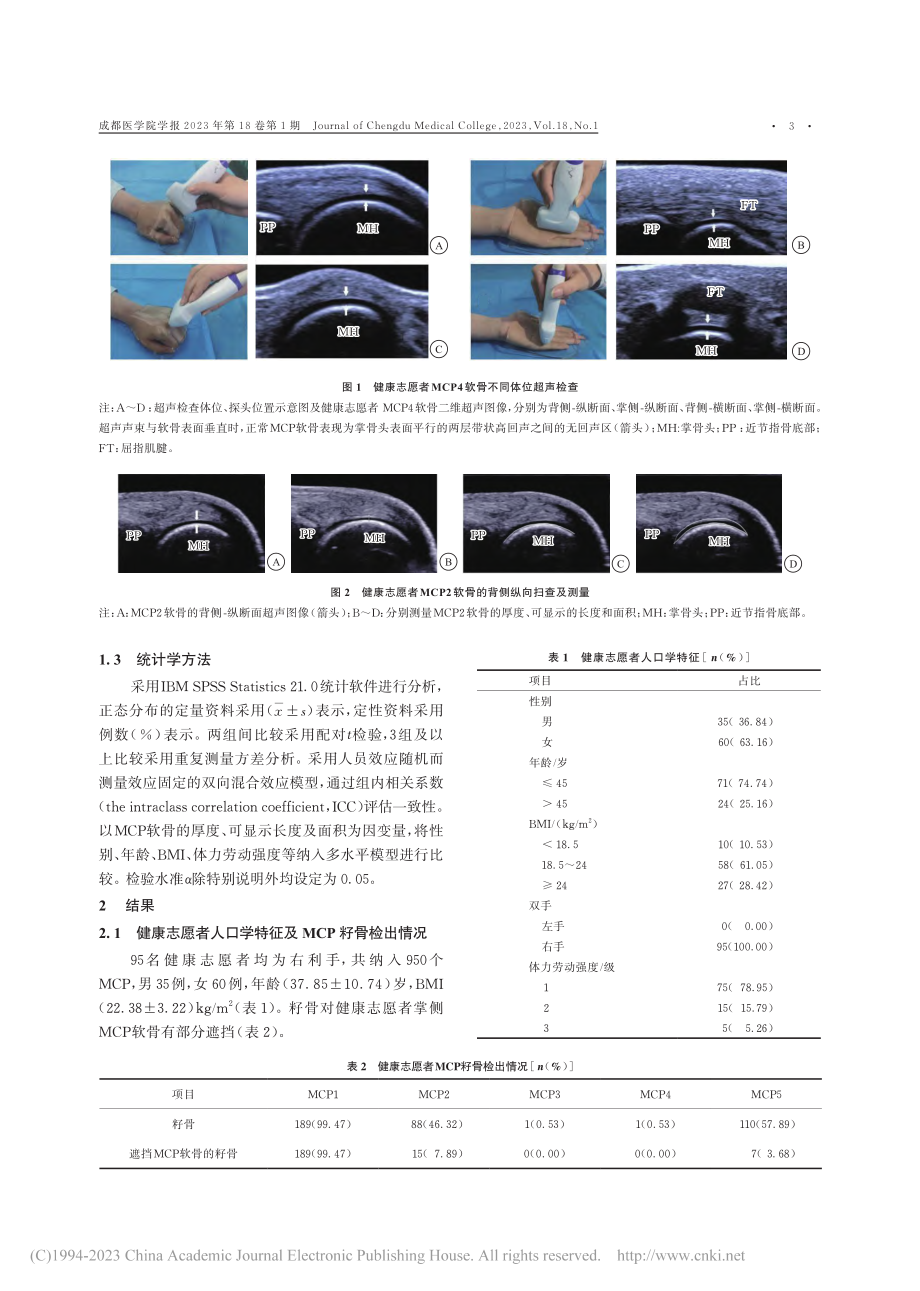 超声测量健康志愿者掌指关节软骨的方法及影响因素研究_王曦.pdf_第3页