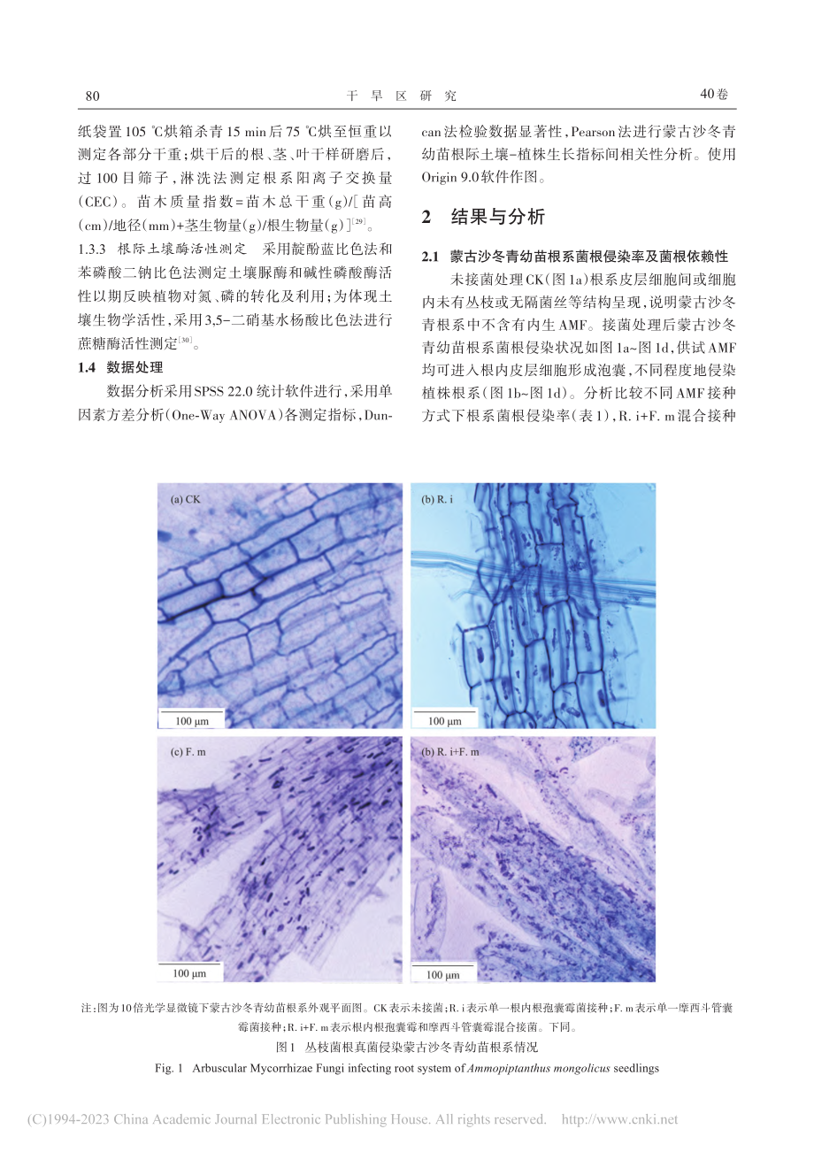 丛枝菌根真菌(AMF)对蒙...青幼苗的促生特性及作用机制_王紫瑄.pdf_第3页