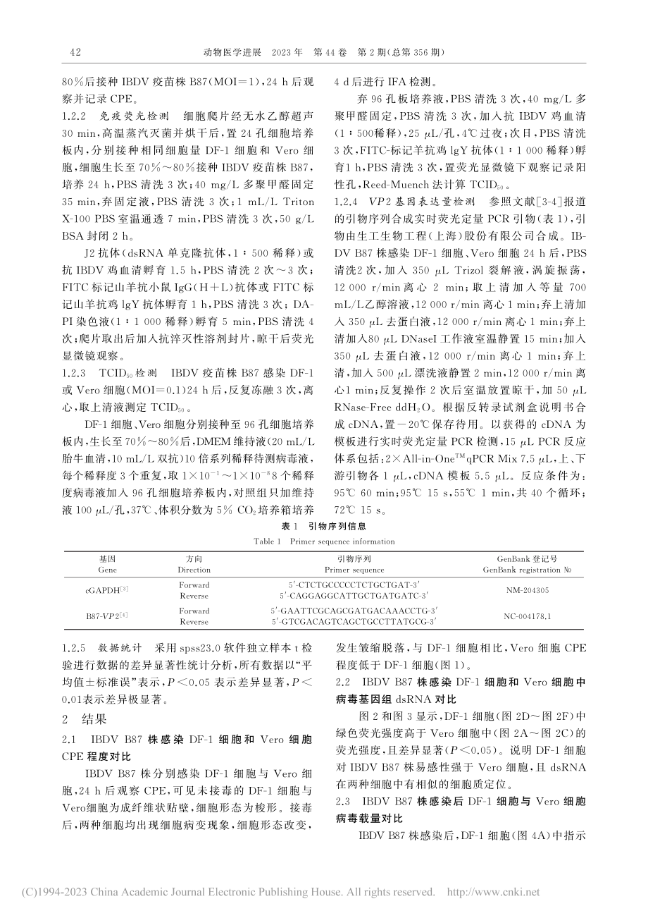 传染性法氏囊病病毒疫苗株B...胞和Vero细胞感染性研究_潘鹏宇.pdf_第2页