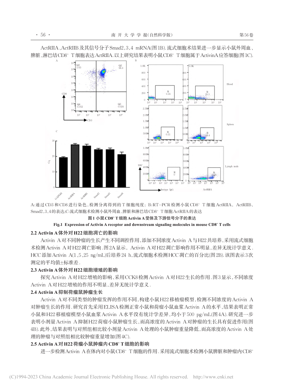 低剂量Activin_A通...8-+T细胞发挥抗肿瘤效应_李建婷.pdf_第3页