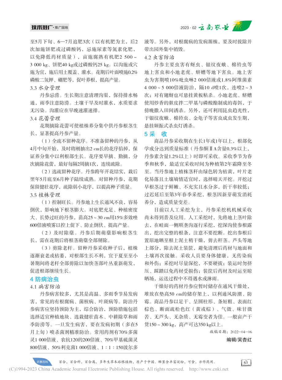 丹参丰产栽培_吕金富.pdf_第2页