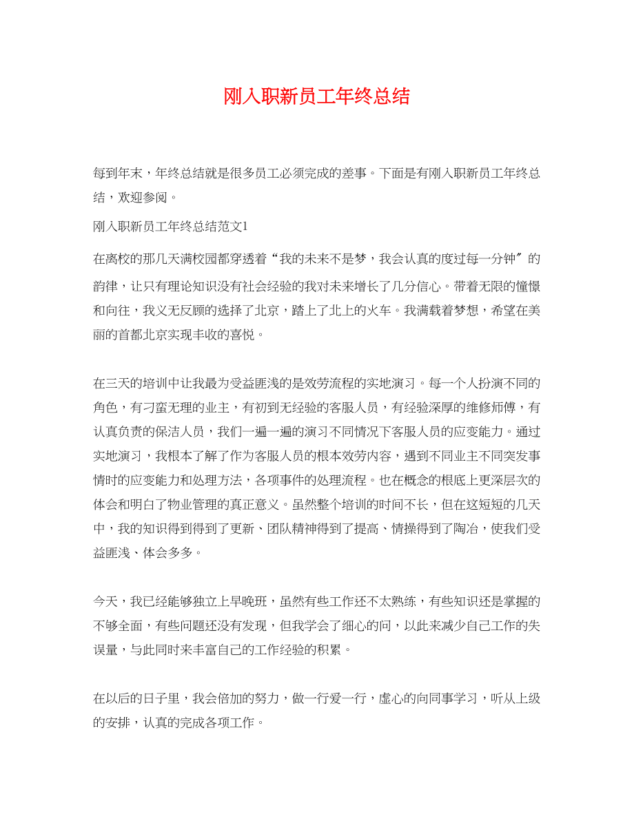 2023年刚入职新员工终总结范文.docx_第1页