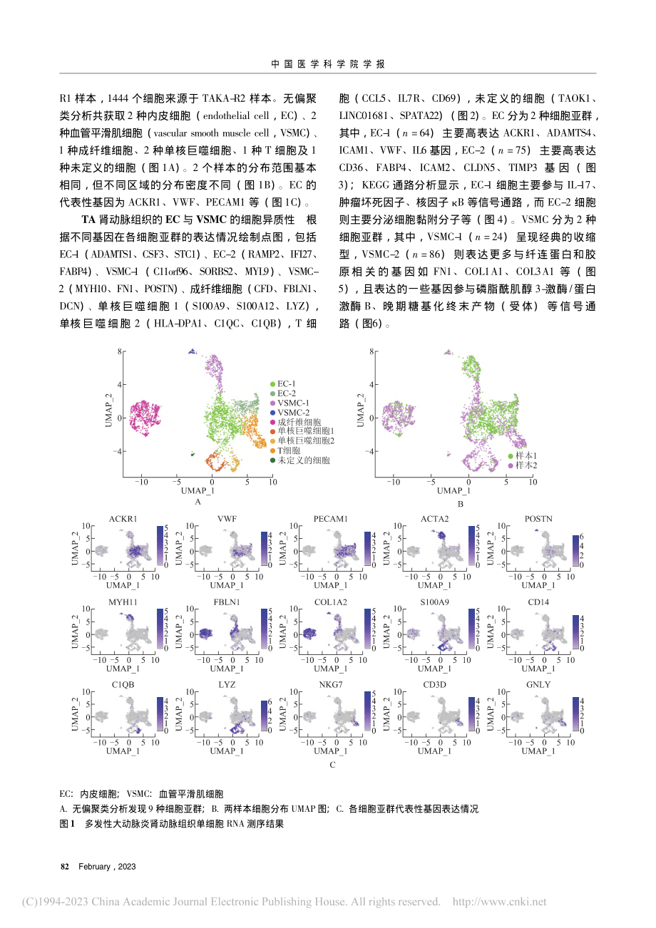 单细胞转录组测序在多发性大...脉炎肾动脉病变中的初步探索_高擎.pdf_第3页