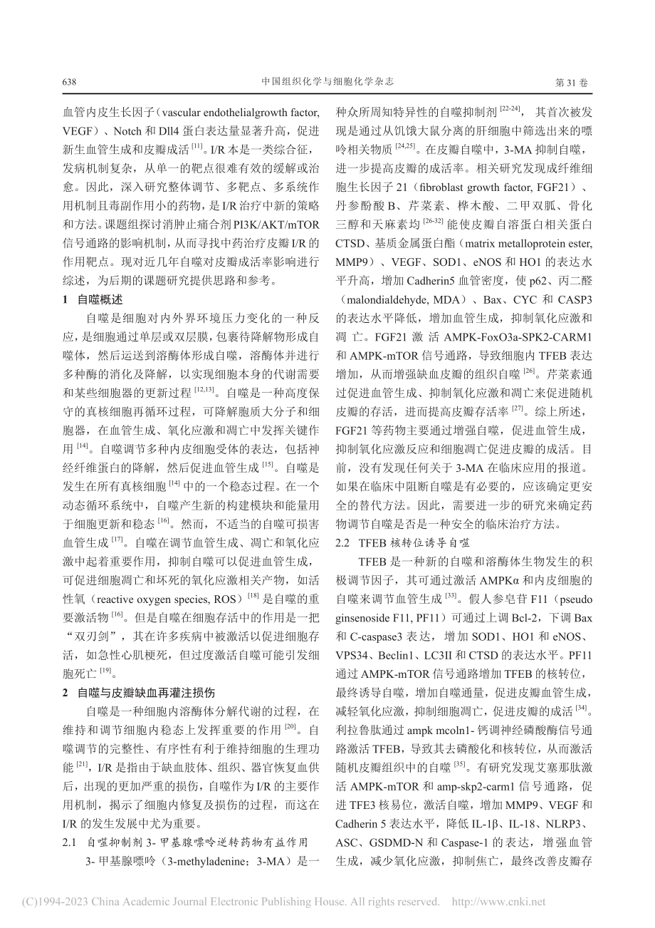 自噬与皮瓣缺血再灌注损伤_张团庄.pdf_第2页