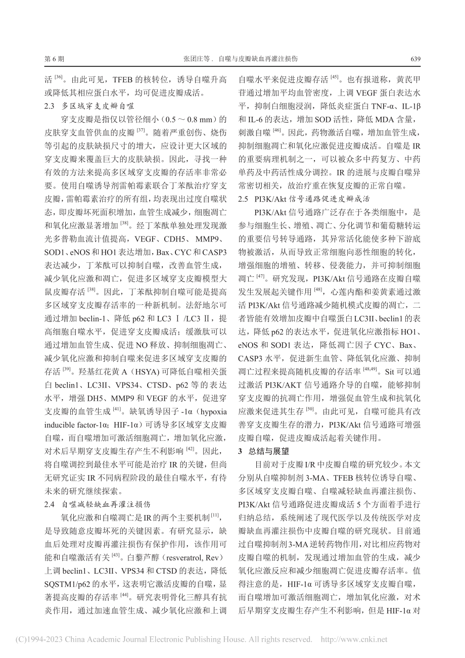 自噬与皮瓣缺血再灌注损伤_张团庄.pdf_第3页